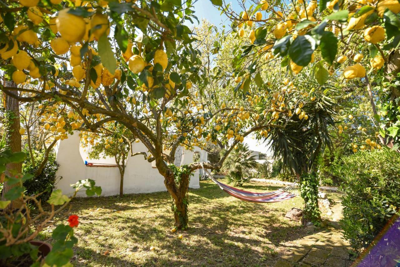 Villa Le Querce Procida Exterior foto